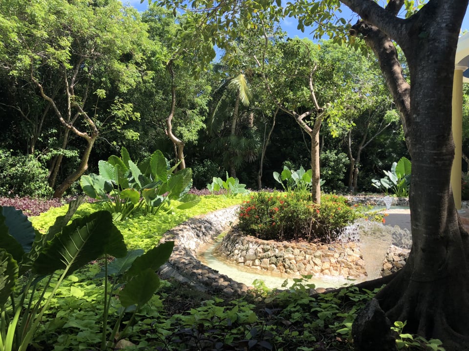 Gartenanlage Iberostar Waves Paraiso del Mar