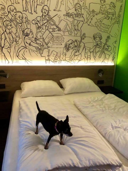 Zimmer ibis Styles Halle