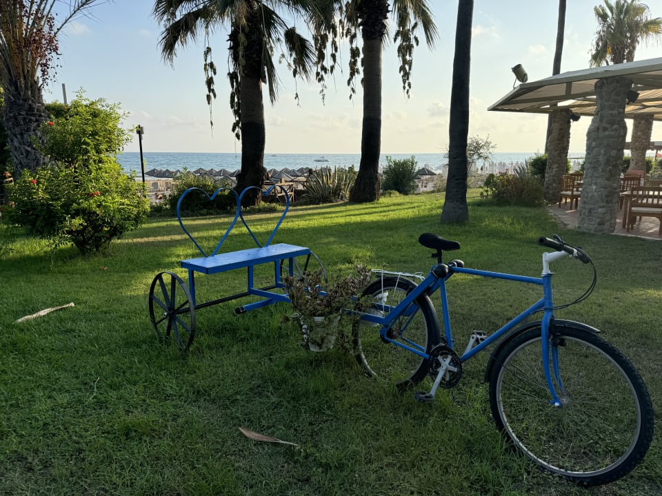 Gartenanlage Hotel Defne Garden