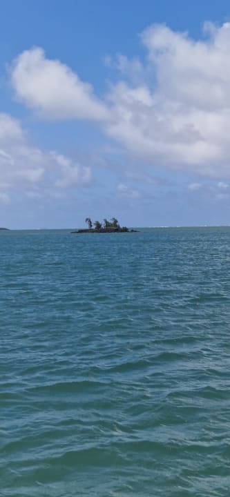 Ausblick Lagoon Attitude - Adults only