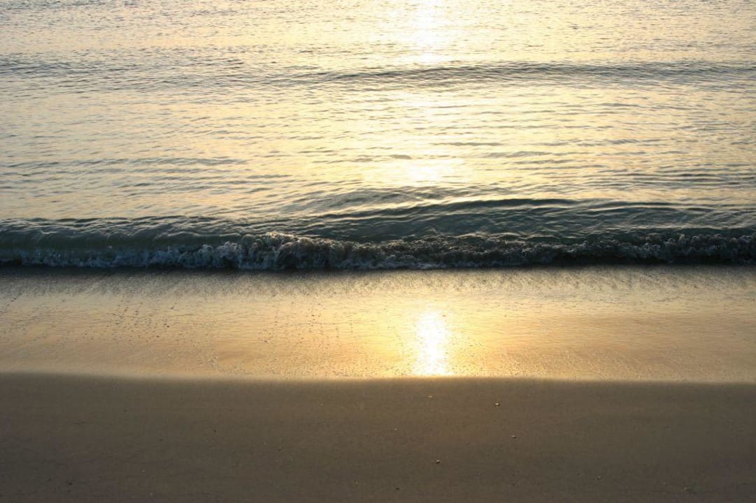 Sonnenaufgang am Strand Grand Palladium Select Palace Ibiza