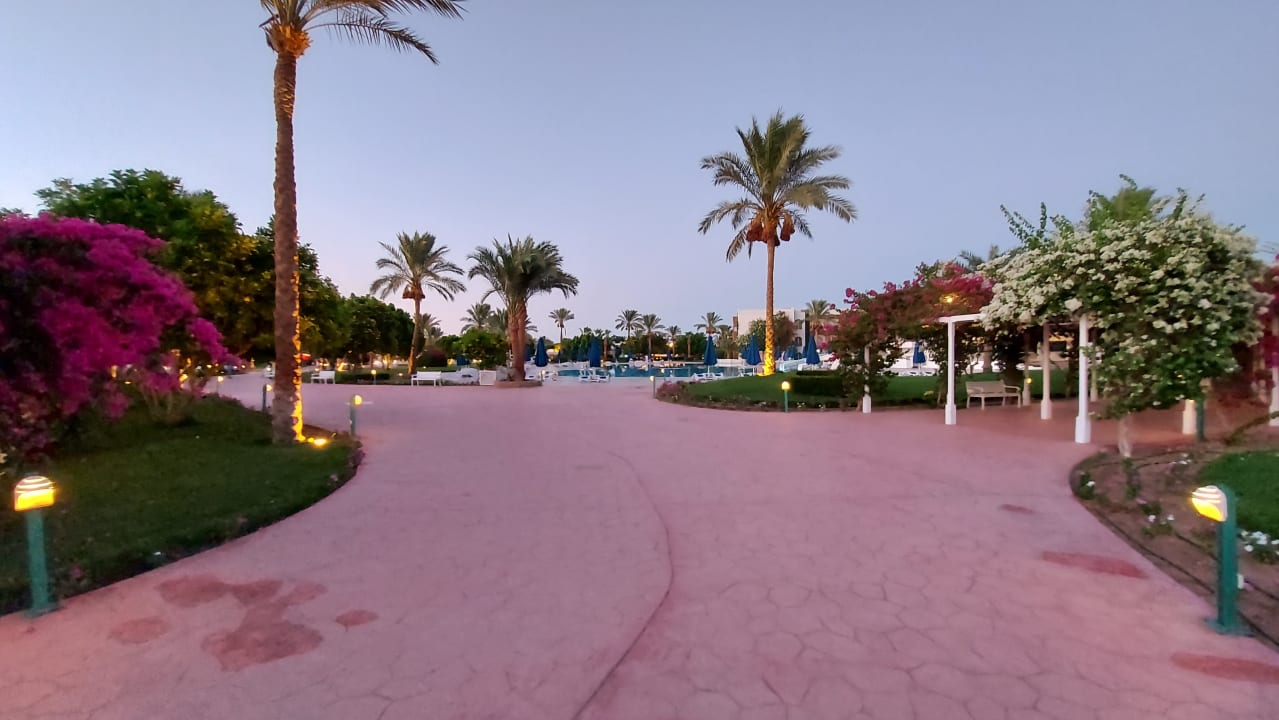 Gartenanlage Desert Rose