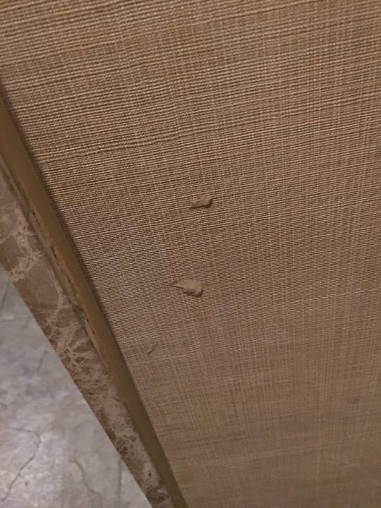 Zimmer Sherwood Dreams Resort