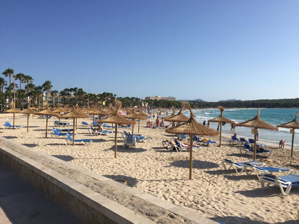 Morgens  Hotel Mariant Park