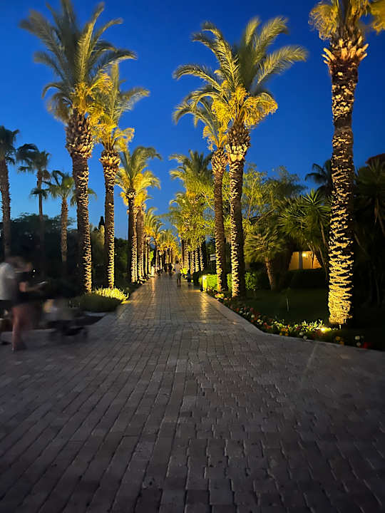 Gartenanlage TUI BLUE Palm Garden