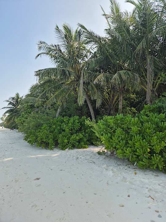 Strand Dhiguveli Maldives