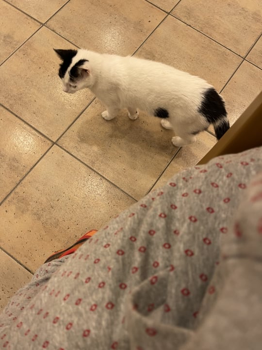 Sonstiges Limak Limra Hotel & Resort