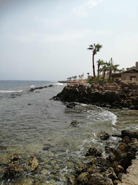Strand Pickalbatros Citadel Resort