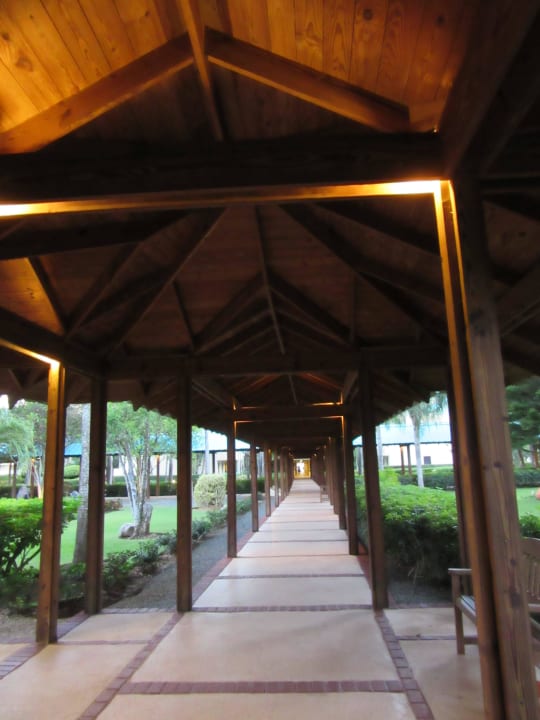 Weg zum Restaurant Dreams La Romana Resort & Spa