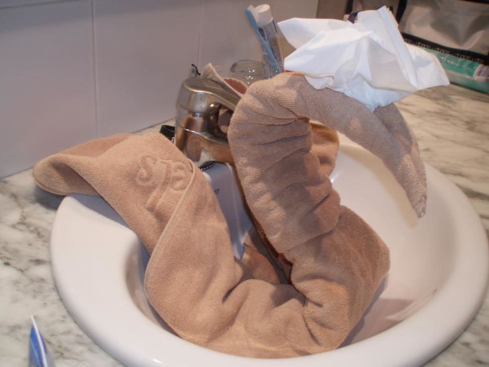 Die Ideen der Reinigungskraft SBH Costa Calma Beach Resort