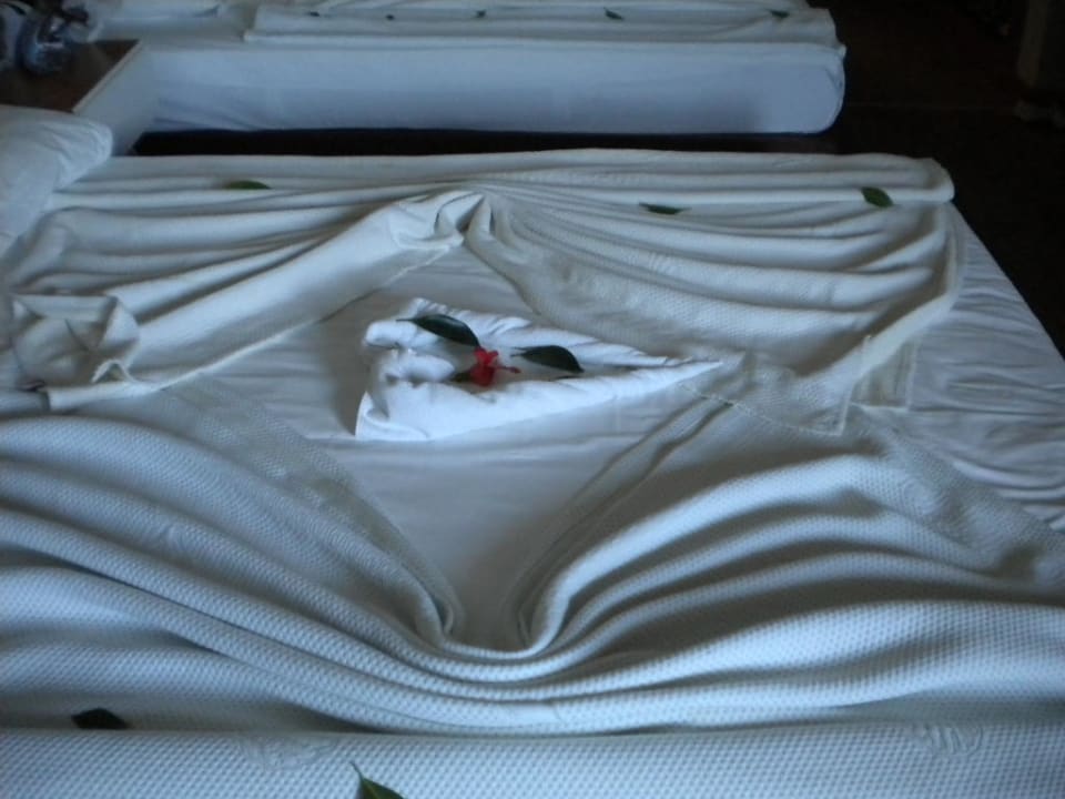 Überraschung unserer Putzfrau Hane Family Resort