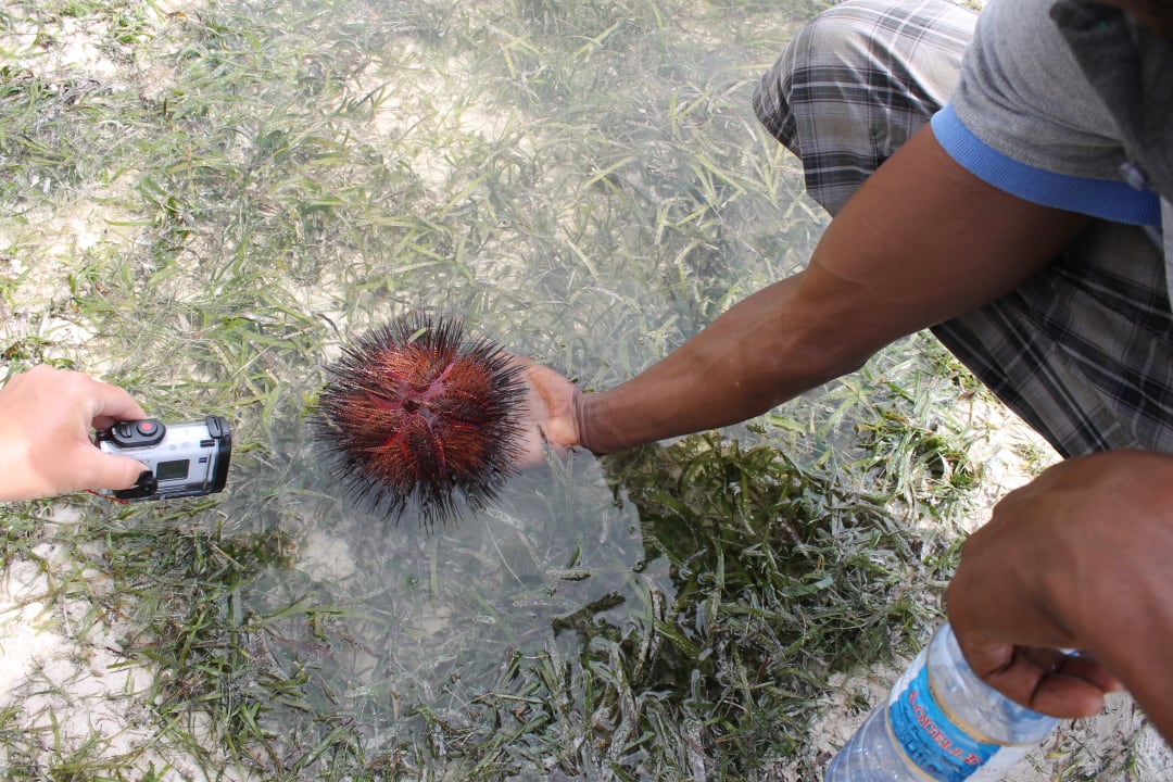 Strand Neptune Village Beach Resort & Spa