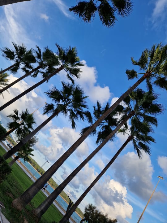 Strand Hotel Mariant Park