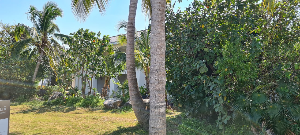 Gartenanlage Melia Las Dunas