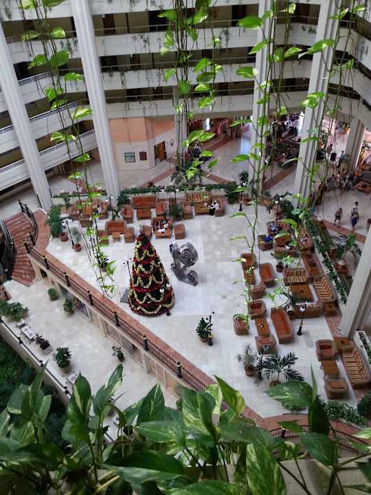 Auch in der Karibik weihnachtet es. Blau varadero - Adults only