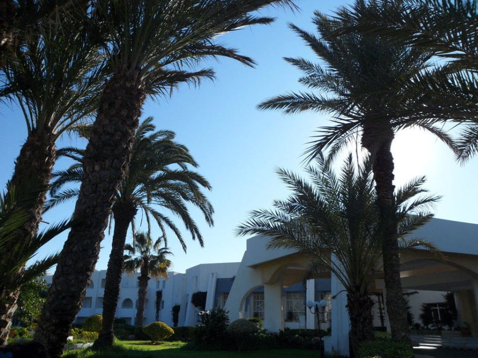 Garten vor der Lobby Hotel El Mouradi Djerba Menzel