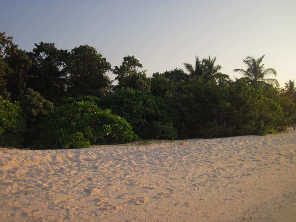 Nordseite Höhe Bungalow 410 Kuredu Island Resort & Spa