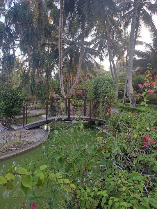 Gartenanlage Adaaran Select Meedhupparu Island Resort - Premium All Inclusive