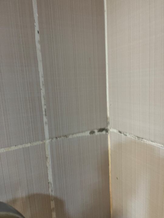 Zimmer Latanya Park Resort