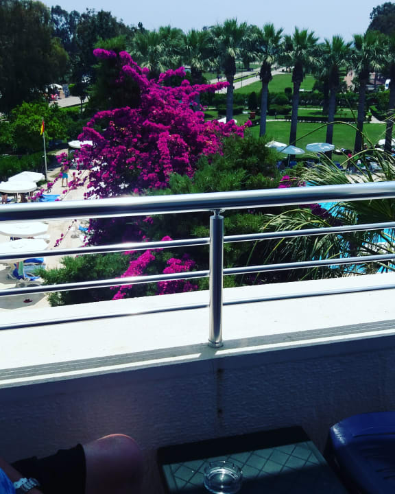 Super Ausblick! Asteria Collection Side