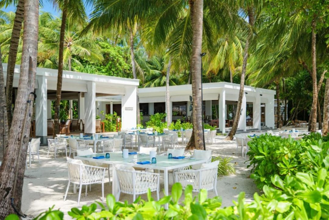 Gastro Amilla Maldives