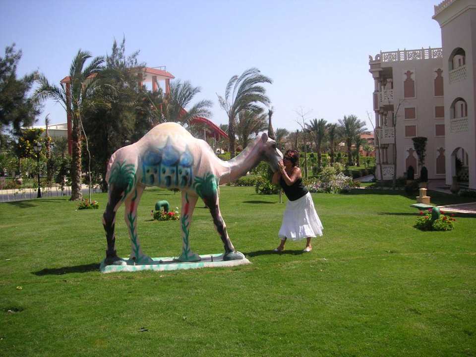 Nicht nur für Singels zum schmusen Pickalbatros Palace Resort