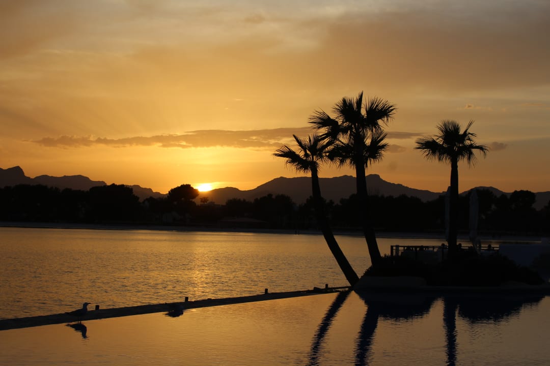 Pool Alcudiamar Marina Residence