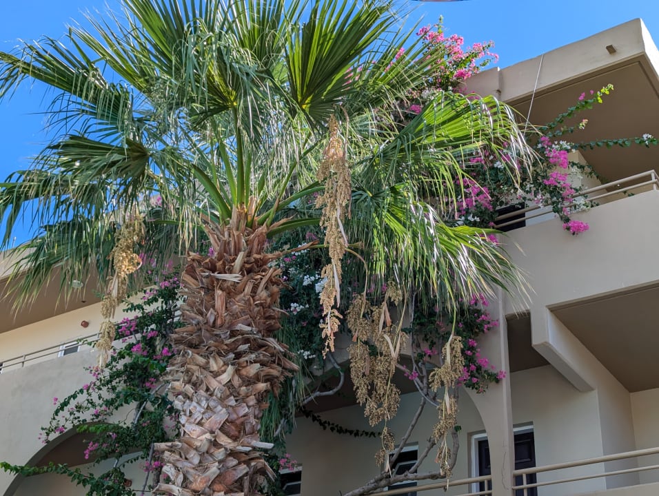 Außenansicht Hotel Marathon