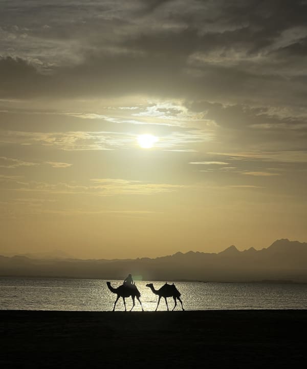Strand Hotel Sheraton Soma Bay Resort
