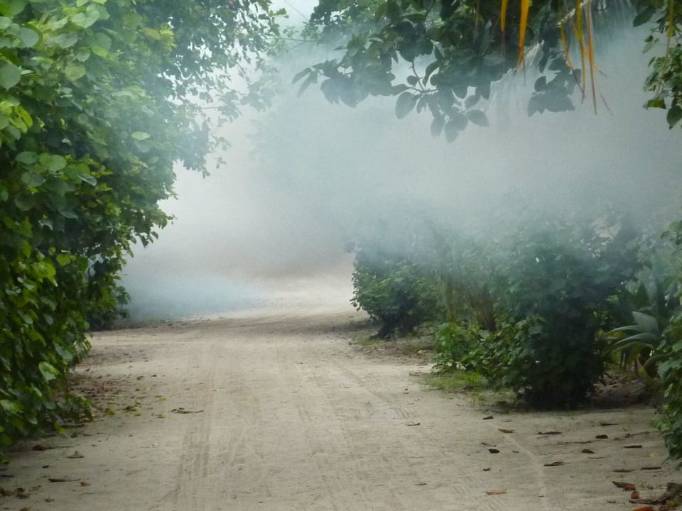 Kampf gegen Insekten Kuredu Island Resort & Spa