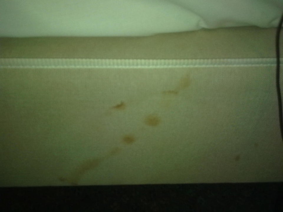 Das Bett DORMERO Hotel Dessau-Roßlau