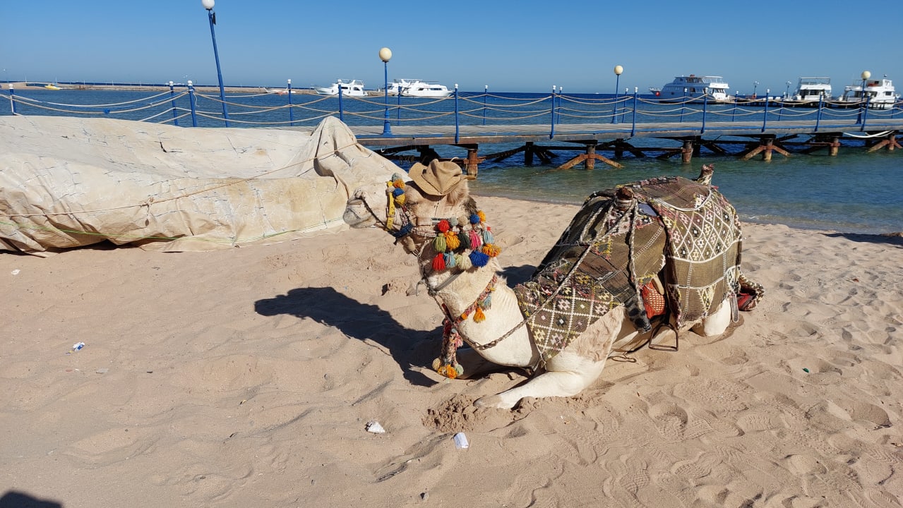 Strand Amarina Abu Soma Resort & Aquapark