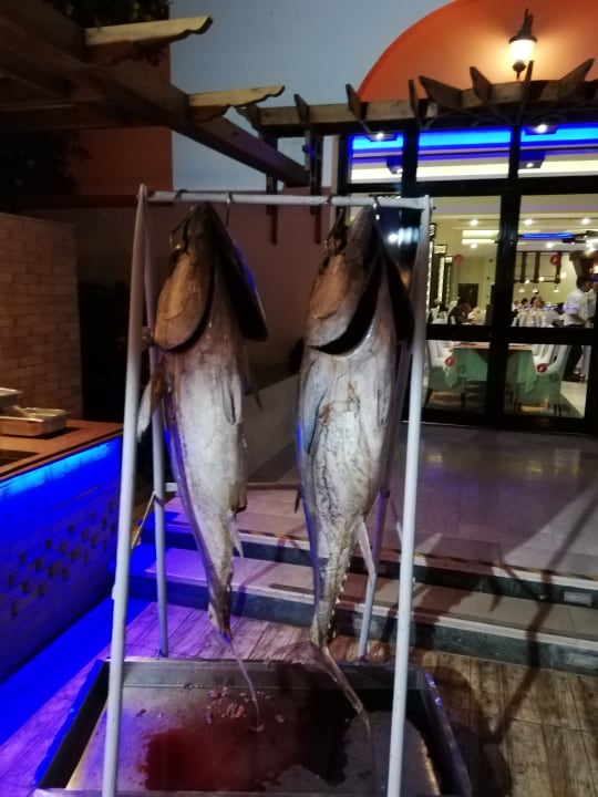 Gastro Fantazia Resort Marsa Alam