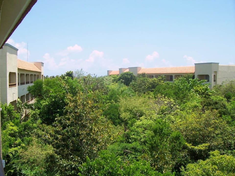 Ausblick vom Balkon Catalonia Royal Tulum Beach & Spa Resort - Adults only