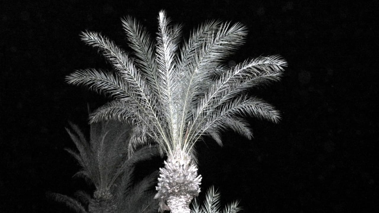 Impression am Abend Hotel El Mouradi Djerba Menzel