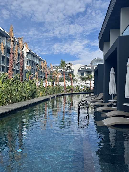 Zimmer Royal Atlantis Icon