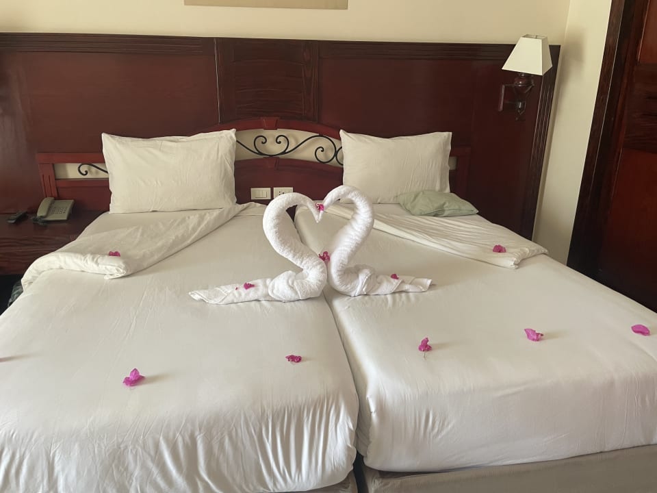 Zimmer Brayka Bay Resort