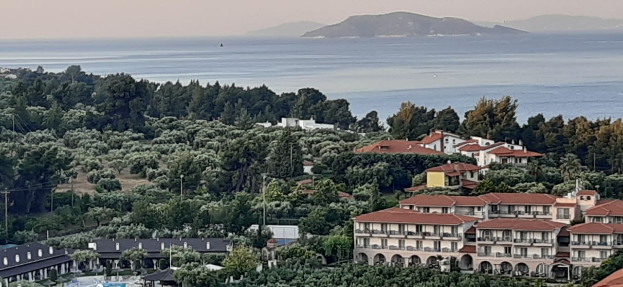 Ausblick Hotel Virginia