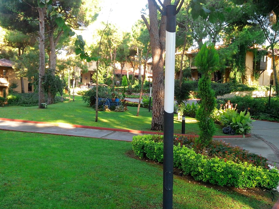 В саду отеля Asteria Family Belek