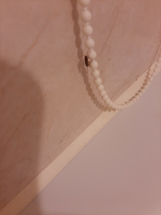 Zimmer Limak Limra Hotel & Resort