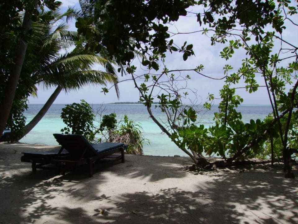 Paradies   Vilamendhoo Island Resort & Spa