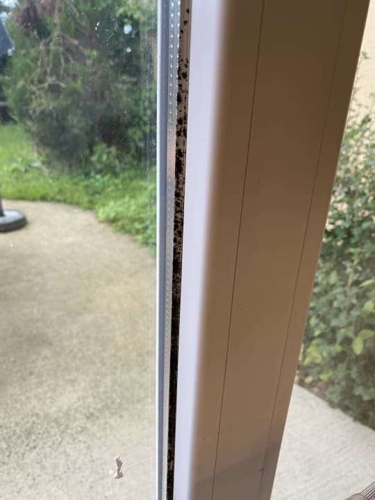 Zimmer Center Parcs Park Bostalsee