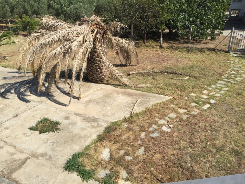 Gartenanlage Das Anwesen des Professors