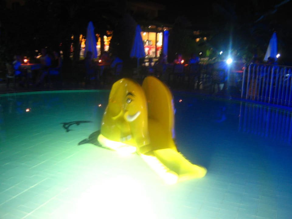 Dumbo Grand Seker Hotel