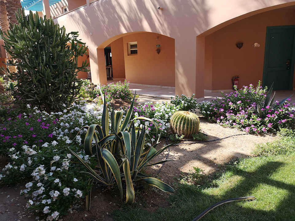 Gartenanlage Club Paradisio El Gouna, Red Sea