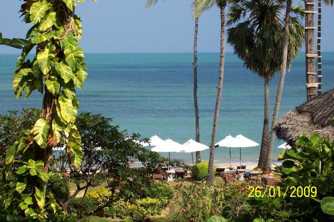 Blick vom Bungalow - Richtung Beach Coral Bay Resort