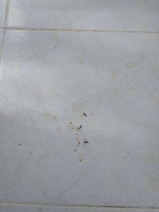 Zimmer Hotel Golden Odyssey