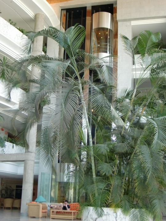 Lobby mit Blick zum Glasfahrstuhl Tabaiba Princess