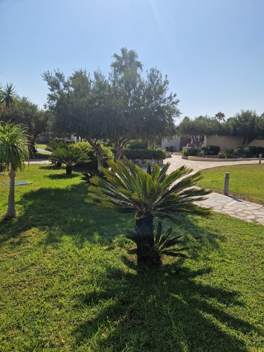 Gartenanlage Atlantis Hotel
