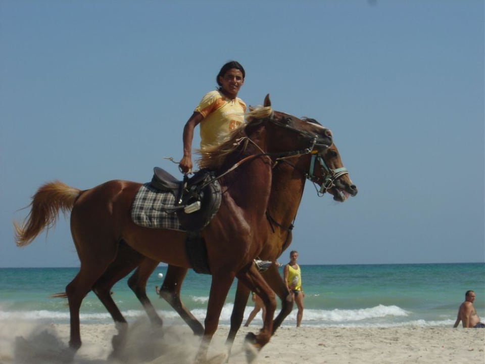 Tierische Freunde Hotel Meninx Djerba